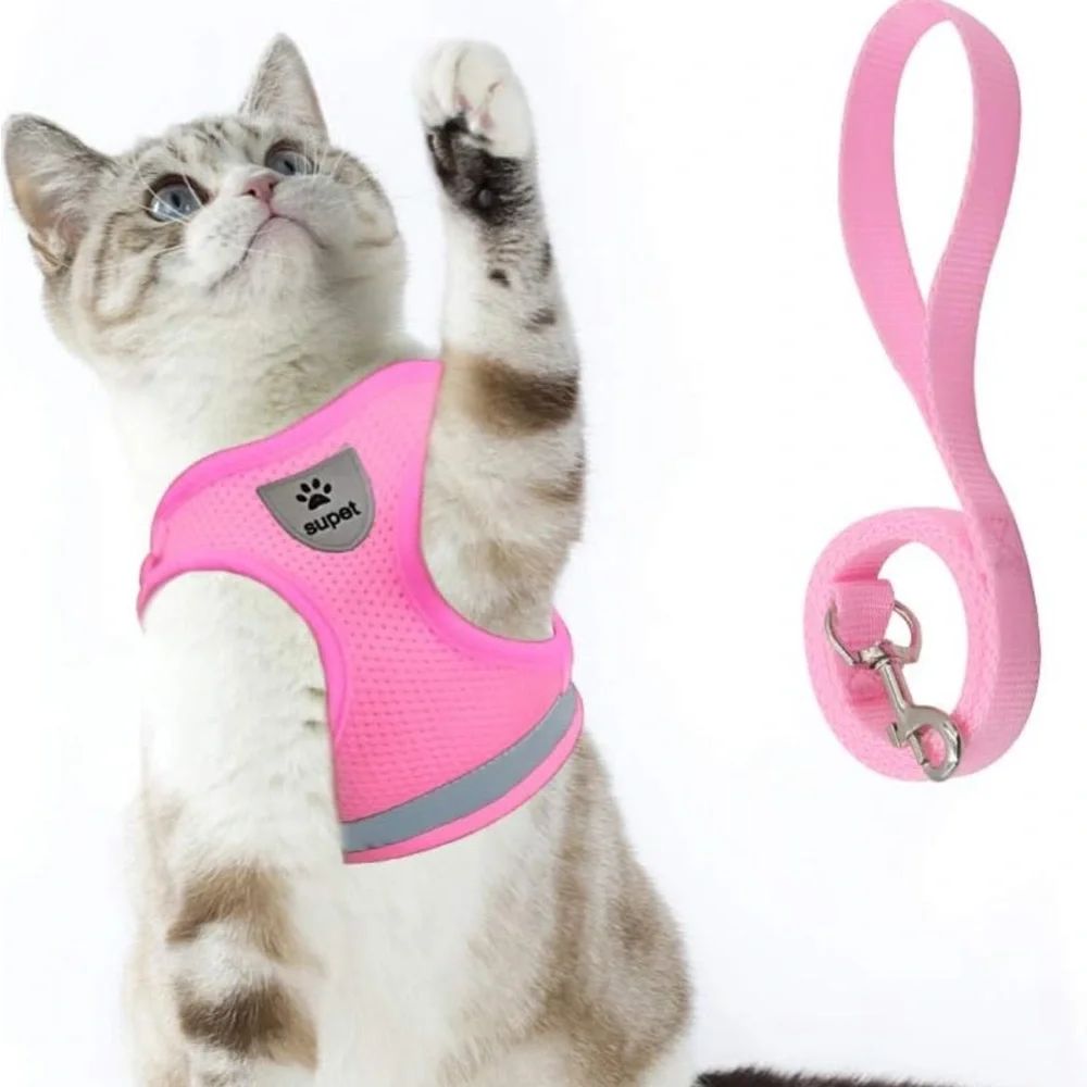 Rabbitgoo and Supet bundle! Small Cat and Dog harness set